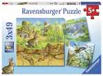 Puzzle 3x49 Teile Tiere - Tiere in ihren...