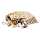 Spielesammlung FSC100% Holz medium 30x30x6cm