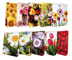 TAUN Geschenktüte A3 versch Design Farbwahl nicht möglich