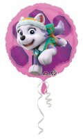 Folienballon 43cm Paw Patrol Skye & Everest