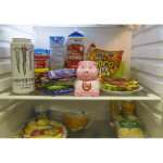 OOTB Diätschweinchen für den Kühlschrank