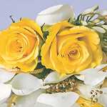 Servietten 33x33cm 20 St. Petalos di Rosa