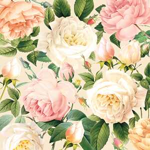 Servietten 25x25cm 20 St. Gloria
