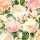 Servietten 25x25cm 20 St. Gloria