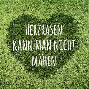 Serviette 33x33cm 20 St.Herzrasen