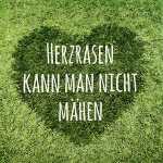 Serviette 33x33cm 20 St.Herzrasen