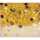 Amscan Konfetti Stardust gold 14 g