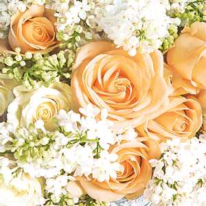 Motivserviette 33x33cm Rosen/Flieder HOME F. 212045