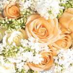 Motivserviette 33x33cm Rosen/Flieder HOME F. 212045