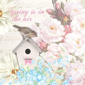 Motivserviette 33x33cm Frühjahr PAPER+DESIGN 191704 Blumen/Vogel