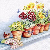 Servietten 33x33cm 20 St. Windowsill w. Flower Pots