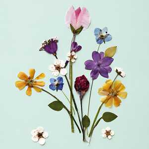 Servietten 20er FSC-Mix 33x33cm Bunches