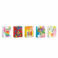 Geschenktasche bunt Medium 18x23x10cm 5fach - Serie...