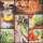 Serviette 33x33cm 20 St. Fresh Vegetable - Home-Fashion
