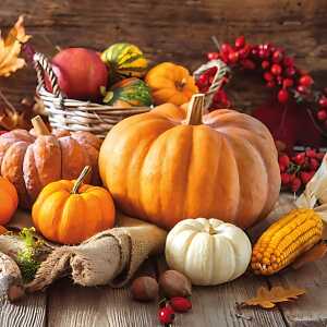 Servietten 33x33cm 20St. Thanksgiving Still Life