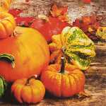 Serviette 33x33cm 20 St. Pumpkins - Home-Fashion