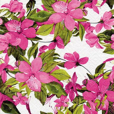 Servietten 24x24cm 20St. Flowering Clematis pink