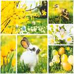 Osterserviette 33x33cm Hase/Ente HOME F. 211954