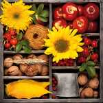 Servietten 24x24cm 20 St Autumn Composition