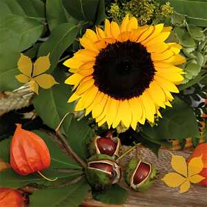 Servietten 33x33cm 20St. Castagne e Girasole