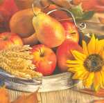 Serviette 33x33cm 20 St.Thanksgiving