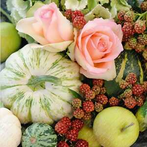 Motivserviette 33x33cm Herbst STEWO 2572 6810 45 3lag