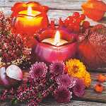 Serviette 25x25cm 20 St. Autumn Lantern - Home-Fashion