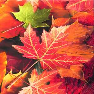 Serviette 25x25cm 20 St.Maple Leaves