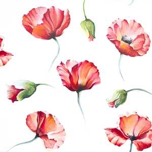 Serviette 25x25cm 20 St.Poppy Drawing