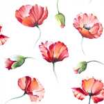 Serviette 25x25cm 20 St.Poppy Drawing