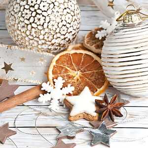 Servietten 33x33cm 20 St. Ivory Still Life