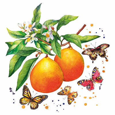 Servietten 20er FSC-Mix 33x33cm Fruity Butterfly