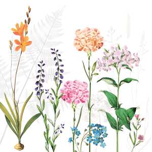 Servietten 25x25cm 20 St. Botanica