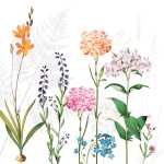 Servietten 25x25cm 20 St. Botanica