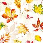 Servietten 20er FSC-Mix 25x25cm Scattered Foliage - Home...