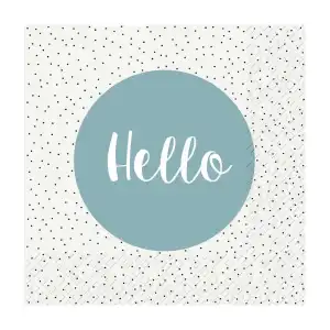 Servietten 20er FSC-Mix 33x33cm Baxtor grau - Stewo