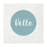 Servietten 20er FSC-Mix 33x33cm Baxtor grau - Stewo