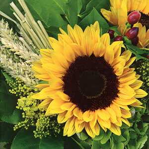 Servietten 20er 33x33cm Sunflower with Straw - ti-flair