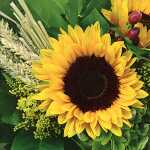 Servietten 20er 33x33cm Sunflower with Straw - ti-flair