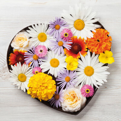 Servietten 20er 33x33cm Flores de Corazon - ti-flair