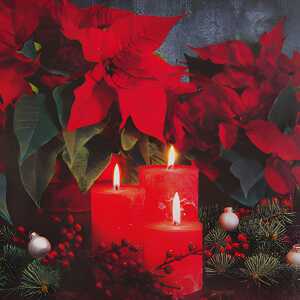 Serviette 33x33cm 20 St.Candlelight Poin