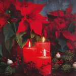 Serviette 33x33cm 20 St.Candlelight Poin