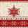 Servietten 33x33cm 20 St. Hivernale red