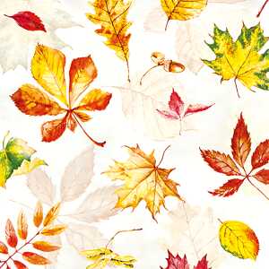 Servietten 20er FSC-Mix 33x33cm Scattered Foliage - Home Fashion