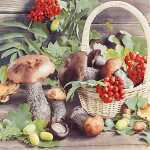 Servietten 20er FSC-Mix 33x33cm Fall Season - Home Fashion