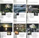 Glückwunschkarten 100er Trauer 6fach sortiert...