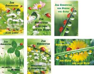 Glückwunschkarten 100er Geburtstag 6fach sortiert 4033683530508