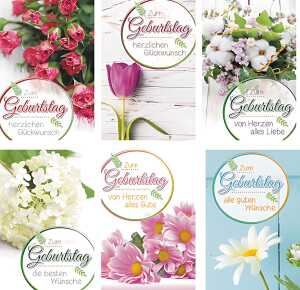 Glückwunschkarten 100er Geburtstag 6fach sortiert 4033683531703