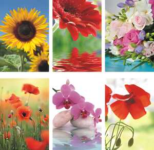 Glückwunschkarten 100er Blumen blanko 6fach - sortiert 4033683454040