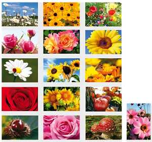 SKOR Glückwunschkarten " Blanco " sortiert 1St